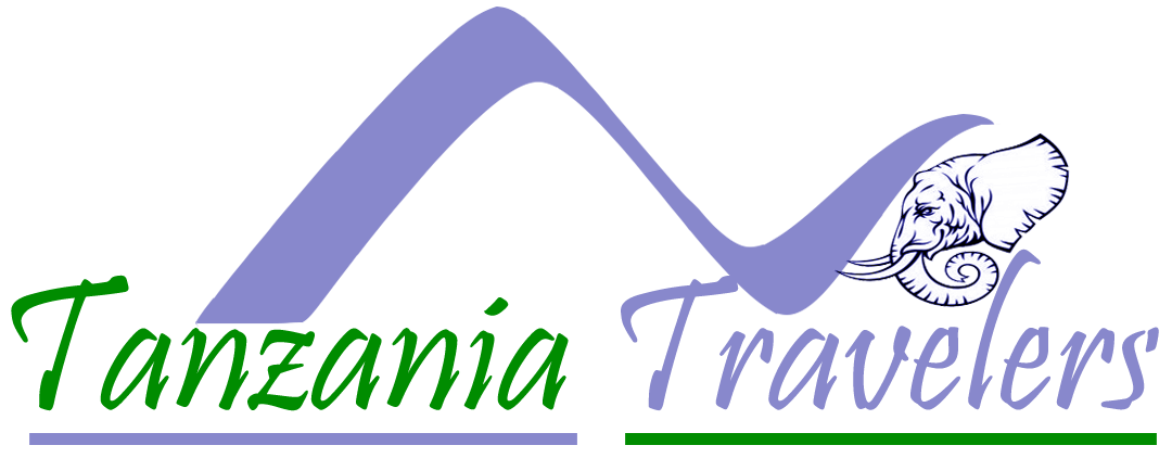 dark logo