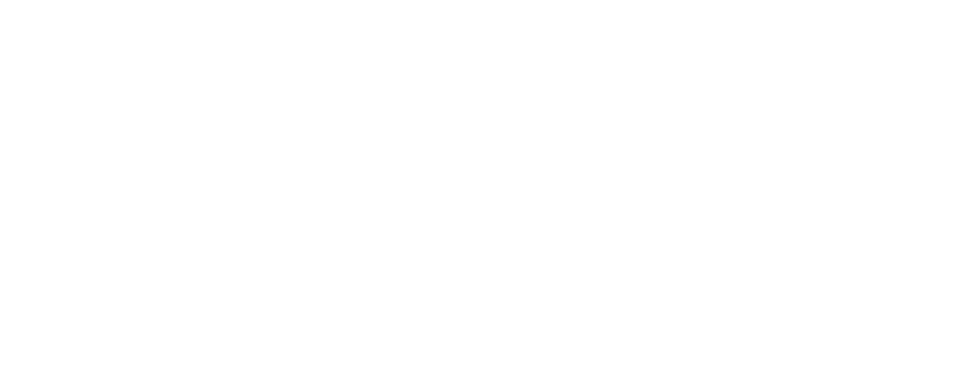 light logo