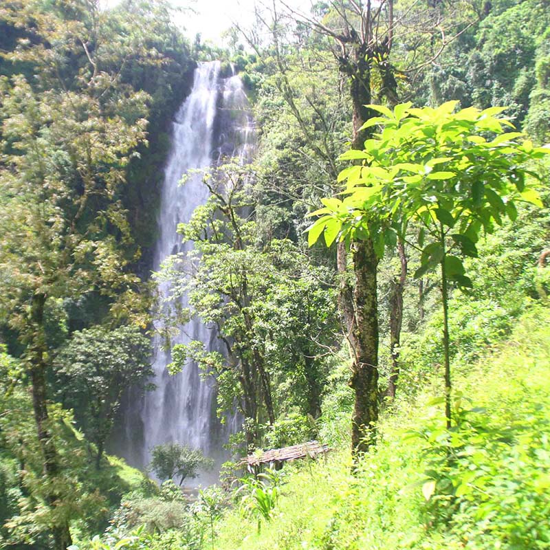 Materuni Water Falls Day Tour